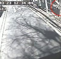 煙頭扔進垃圾桶導致起火，公交車司機見義勇為獲點贊